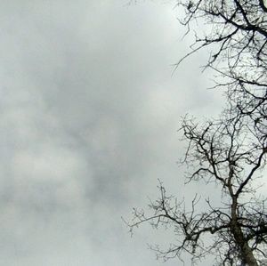 Meet your Posher, Eva